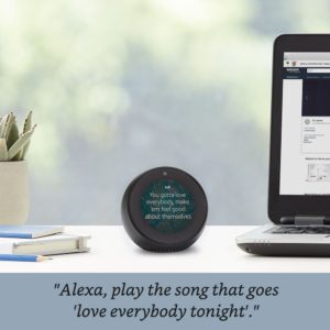 Alexa. Ideal device for the blind