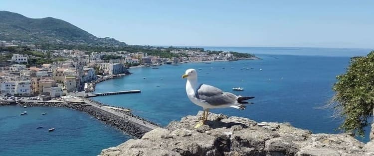 Bay of ischia : Ischia Island to Fall in Love. Unforgettable Charm and Pleasure