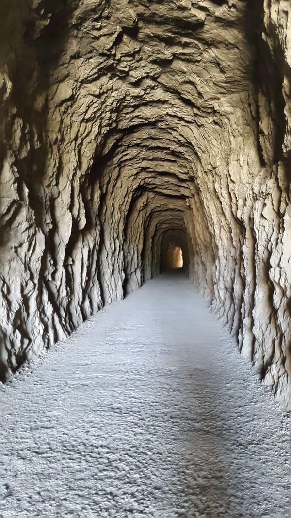 Railrod Tunnel - Natural Reserve Foz de Lumbier's fluvial canyon 