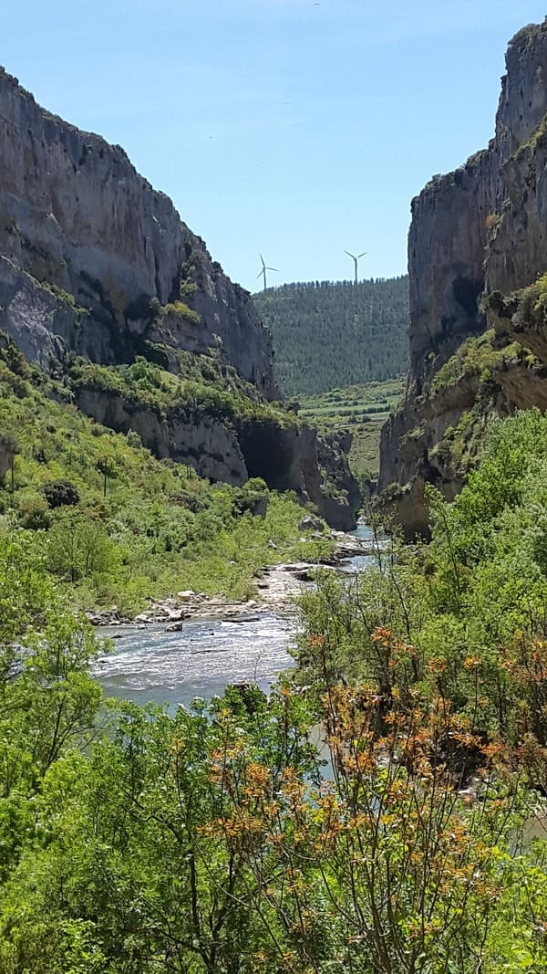 Natural Reserve Canyon of Lumbier-