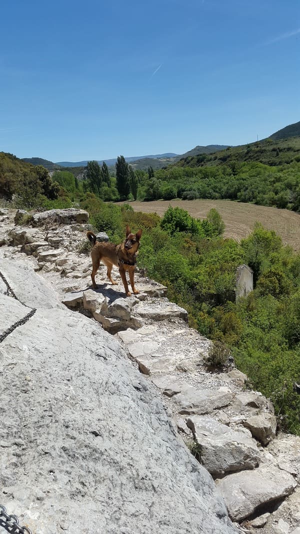 Natural Reserve Canyon of Lumbier