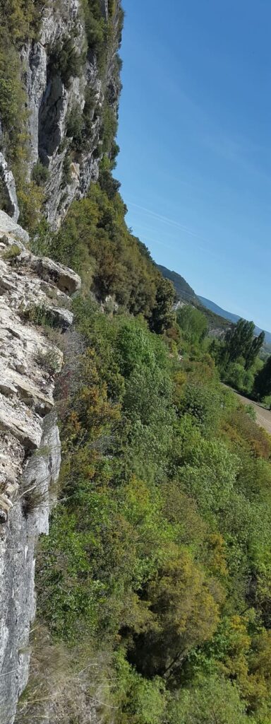 Natural Reserve Foz de Lumbier