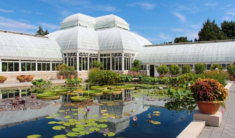 Yayoi Kusama in NY Botanical Garden - Gourmet & Travel