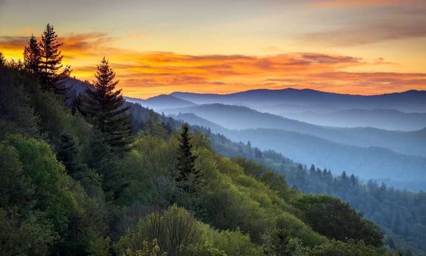 Great Smoky Mountains: The most popular National Park in the US Water and the exudation of trees create that kind of fog that gives its name to the most popular mountains in the United States. The Smoky Mountains National Park is the most visited in the country, with eleven million tourists