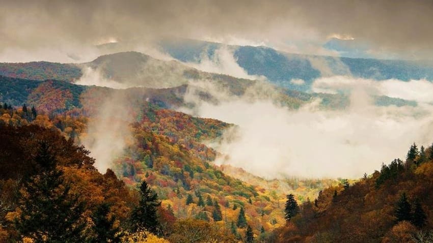 Great Smoky Mountains 2021: The most popular National Park in the US Water and the exudation of trees create that kind of fog that gives its name to the most popular mountains in the United States. The Smoky Mountains National Park is the most visited in the country, with eleven million tourists