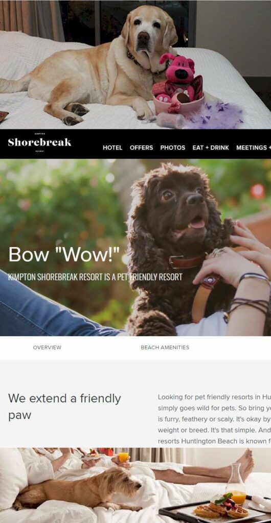 Shore Break Pet Friendly Hotel - How Many People Travel with Pets? 