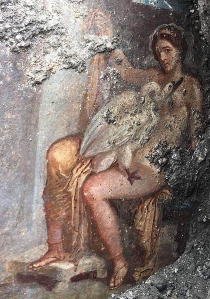 Leda and the Swan in Pompeii Leda and the Swan in Pompeii - Leda and the Swan in Pompeii City A group of archaeologists work in the Pompeii archaeological park in southern Italy. There was a spectacular erotic fresco in very good condition. It is the Greek myth of seduction, embodied in Leda and the swan. It is a unique and exceptional find, said the director of the #archaeological park, Massimo Osanna, when announcing the discover #pompeii #eroticy