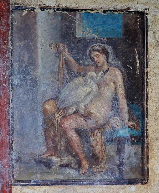 Leda and the Swan in Pompeii - Leda and the Swan in Pompeii City A group of archaeologists work in the Pompeii archaeological park in southern Italy. There was a spectacular erotic fresco in very good condition. It is the Greek myth of seduction, embodied in Leda and the swan. It is a unique and exceptional find, said the director of the #archaeological park, Massimo Osanna, when announcing the discover #pompeii #eroticy.