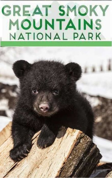 New Releases National Park Services 2021