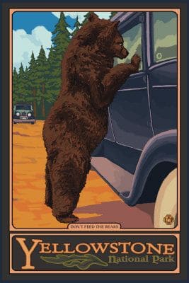 Yogi Bear and Yellowstone History - Travel & Enjoy