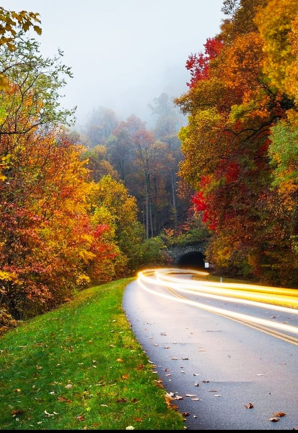 Blue Ridge Parkway 2021: Traversing the Appalachians - Landscape