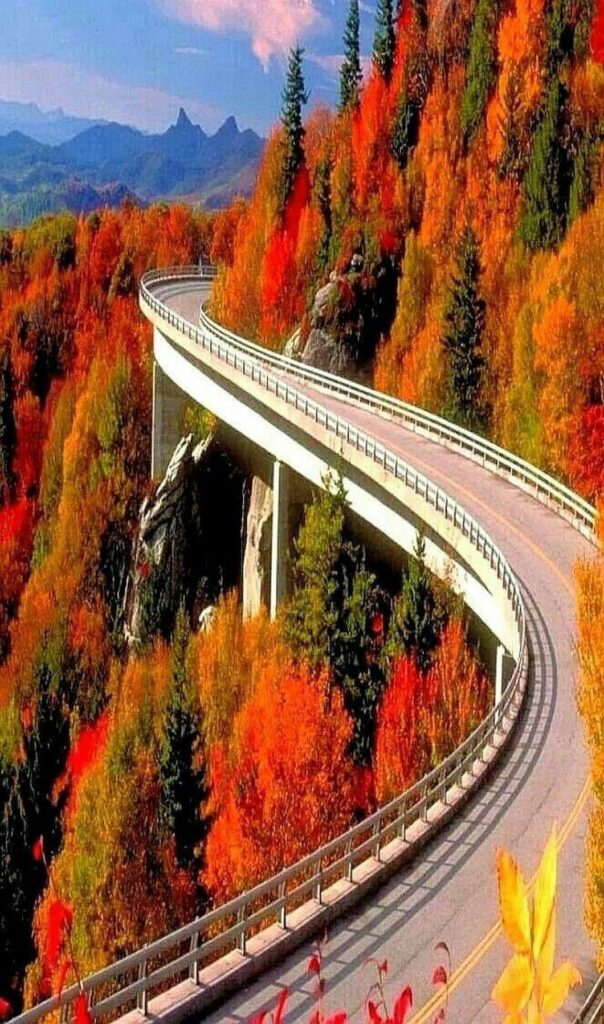 Linn Cove Viaduct - Fall Colors on Blue Ridge Parkway