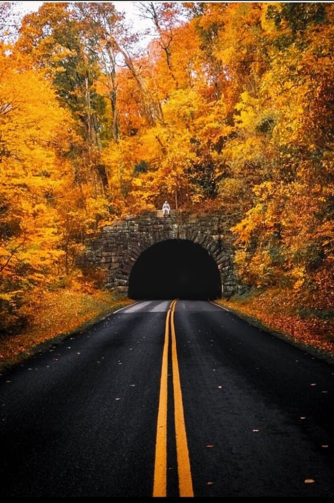 Tunnel Near Ashville - Fall Colors on Blue Ridge Parkway