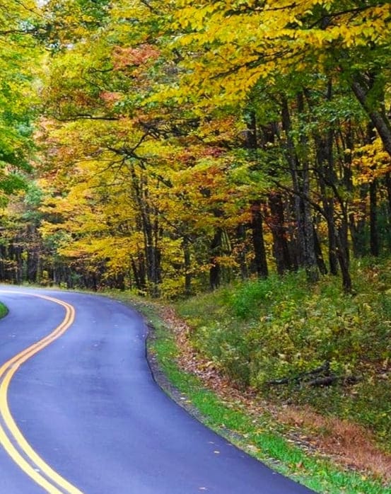 Fall Colors on Blue Ridge Parkway