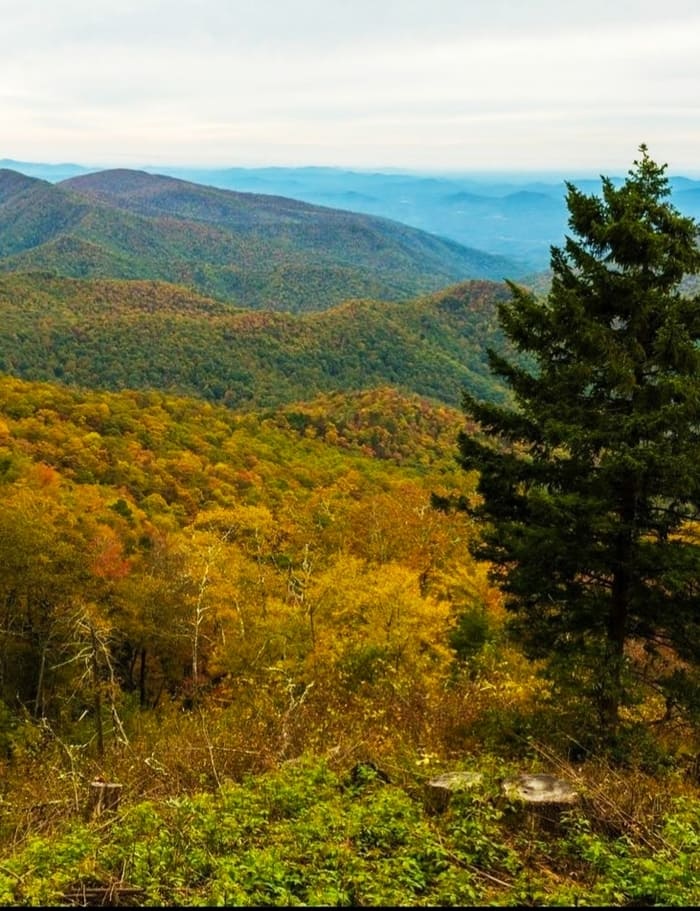 Fall Colors on Blue Ridge Parkway