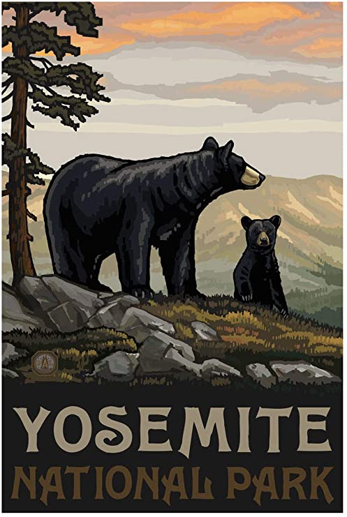 Bears: Hiking Safe on Yosemite - YOSAR 