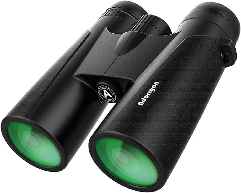 Binoculars Camping 2022