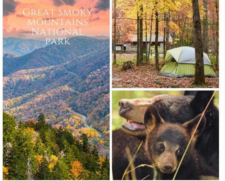 Great Smoky Mountains: The most popular National Park in the US
