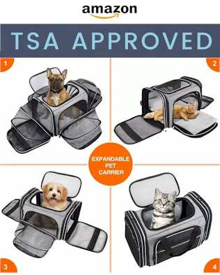 TSA Approved Pet Carrier 2021