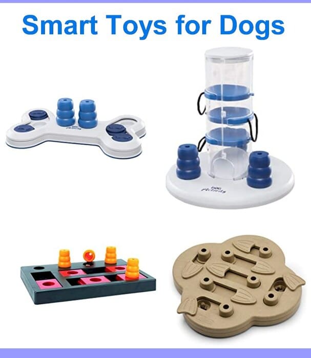Best Smart Activity Dog Toys 2021