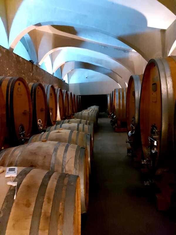 Red wine preparation process - Barrels