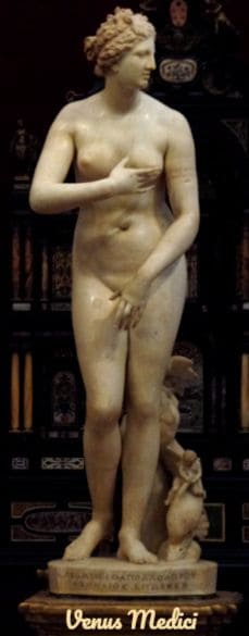 Venus of Medici - Goddess butt