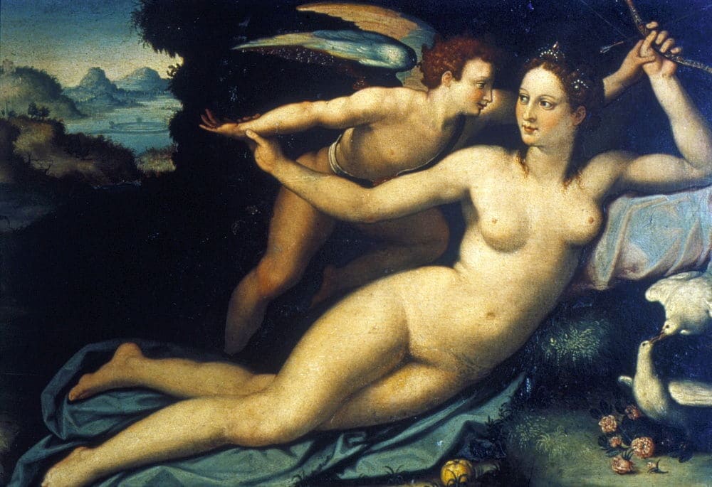 Venus and Cupid 1520 Agnolo Bronzino - Venus Nude Artwork