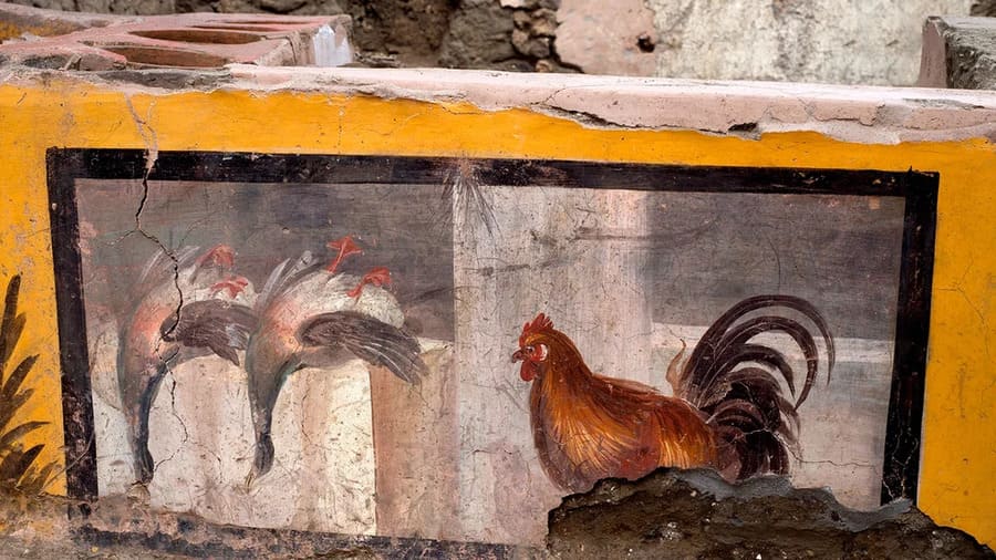 Thermopolium discovered in Pompeii